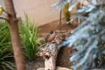 DSC_9207.JPG